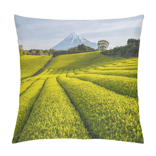 Personality  Tea Farm And Mount Fuji Pillow Covers