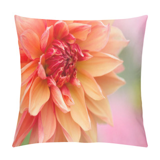 Personality  Beautiful Dahlia Flower. Pillow Covers