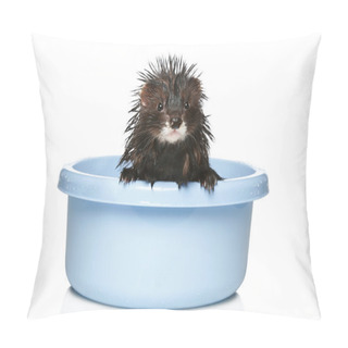 Personality  Ferret Bathed On A White Background Pillow Covers