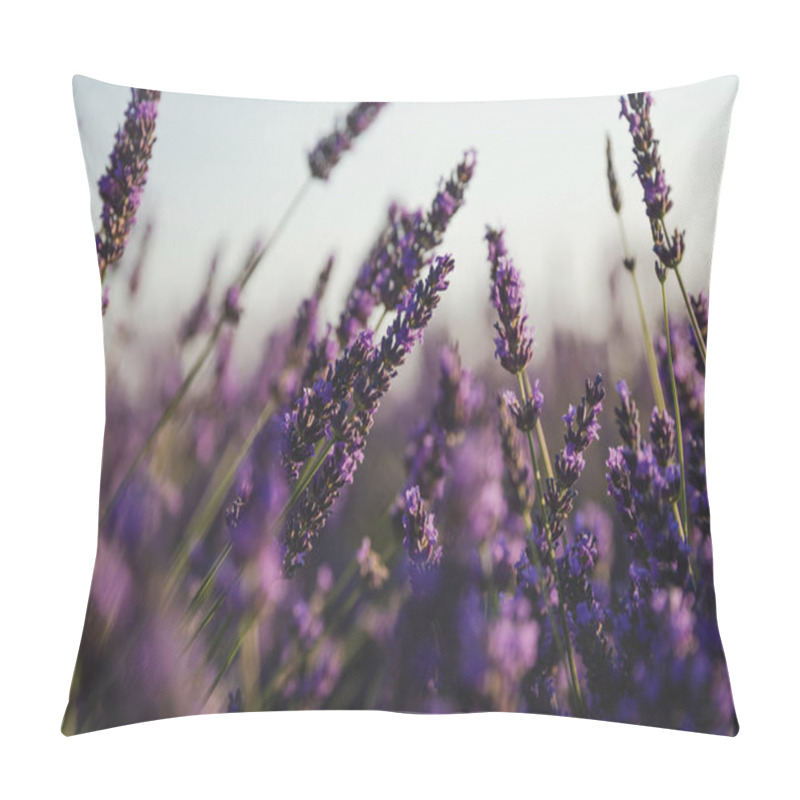 Personality  purple pillow covers