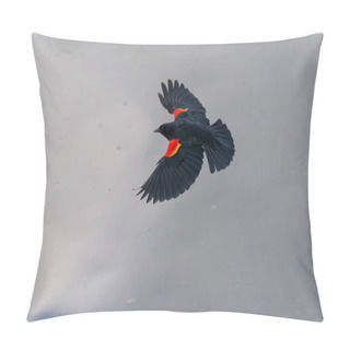 Personality  Red-winged Blackbird (Agelaius Phoeniceus) Pillow Covers