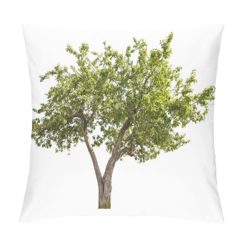 Personality  isolated apple-tree with small fruits pillow covers