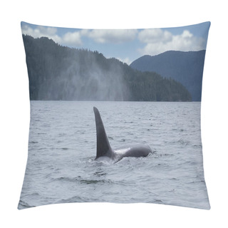 Personality  Killer Whale In Tofino Mountains In Background, View From Boat On A Killer Whale Pillow Covers