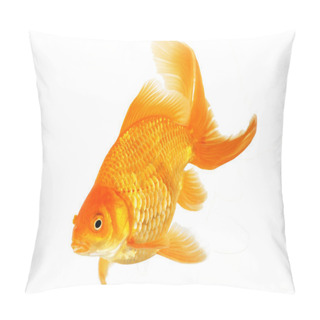 Personality  Beautiful Fantail Goldfish Pillow Covers