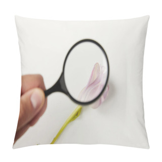 Personality  Close-up View Of Person Looking Through Magnifying Glass At Tender Pink Flower On Grey Pillow Covers