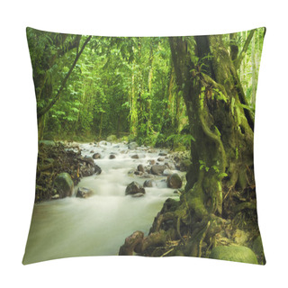 Personality  Tropical Rainforest And River Pillow Covers