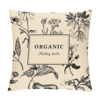 Personality  Organic Healing Herbs Pillow Covers
