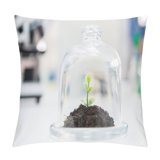 Personality  Plant In Glass Terrarium Pillow Covers