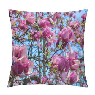 Personality  Magnolia Pink Blossom Tree Flowers Pillow Covers