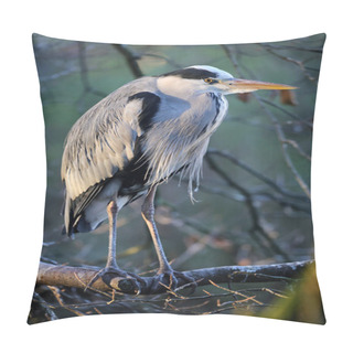 Personality  Blue Heron Bird Pillow Covers