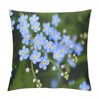 Personality  Meadow Blue Flowers Pillow Covers