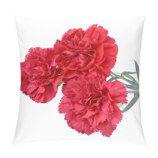 Personality  Carnation Flowers Pillow Covers
