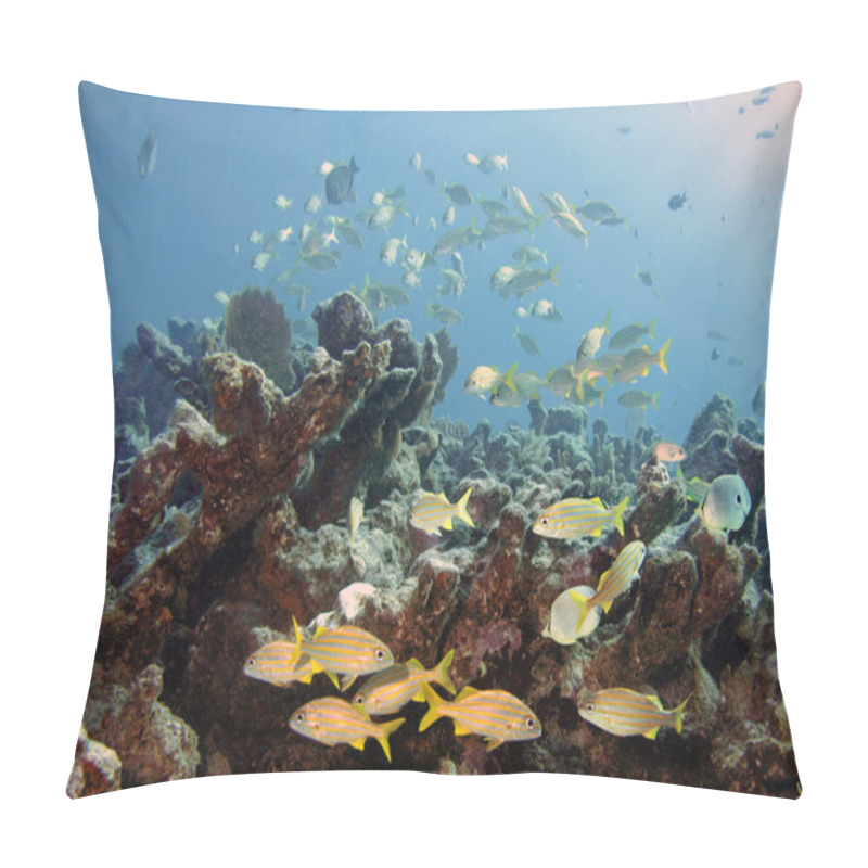 Personality  Reefscape 2 Pillow Covers