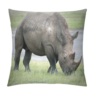 Personality  Grazing Rhino Around Lake Nakuru In Kenya Pillow Covers