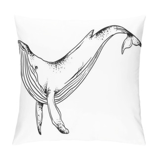 Personality  Vector Illustration Of A Whale On A White Background, Graphics, Hand Drawn Whales Pillow Covers