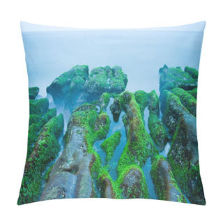 Personality  Rocky Seacoast Full Of Green Seaweed Pillow Covers