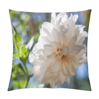 Personality  Beautiful White Dahlia Pillow Covers