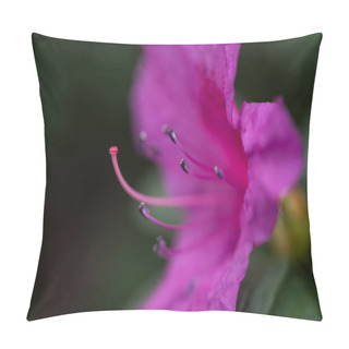 Personality  Selective Focus Of Beautiful Fresh Blooming Violet Flower  Pillow Covers