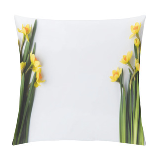 Personality  Beautiful Blooming Yellow Daffodils Isolated On Grey  Pillow Covers