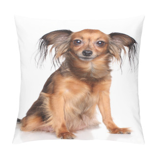 Personality  Russian Long Haired Toy Terrier Dog Pillow Covers