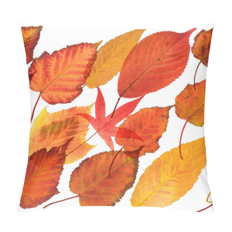 Personality  autumnal leaves seamless repeatable border pillow covers