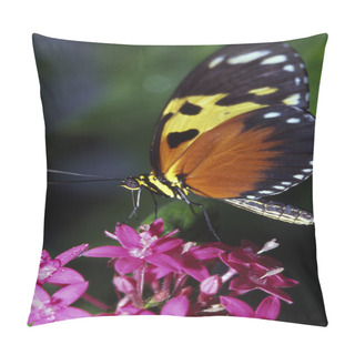 Personality  Tiger Longwing Butterfly Pillow Covers