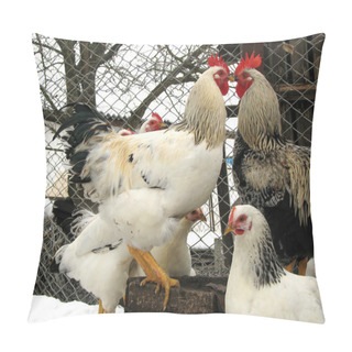 Personality  Two Young Roost - Black And White Pillow Covers