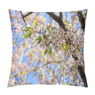 Personality  Beautiful Blossoming Cherry Tree Branches Against Blue Sky At Sunny Day, Selective Focus Pillow Covers