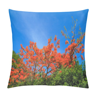 Personality  Peacock Flowers Pillow Covers