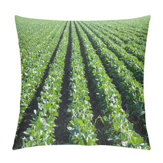 Personality  Soybean Field Pillow Covers