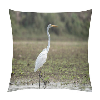 Personality  A Great Egret In The River In The Chitwan National Park. Pillow Covers