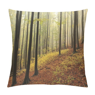 Personality  Autumn Beech Forest Pillow Covers