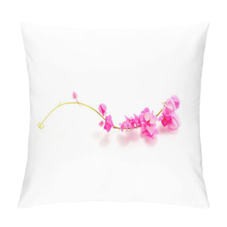 Personality  Pink Coral Vine Isolated On A White Background Pillow Covers