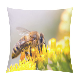 Personality  Honey Bee Pillow Covers