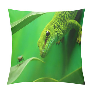 Personality  Green Gecko Lizard Pillow Covers