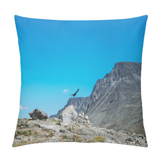 Personality  Eagle Pillow Covers