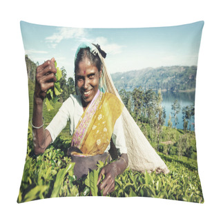 Personality  Woman Picking Tea Leaves Concept Pillow Covers