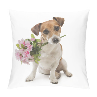 Personality  Dog Pleasant Surprise Flower Pillow Covers