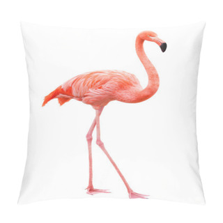 Personality  Bird Flamingo Walking On A White Background Pillow Covers