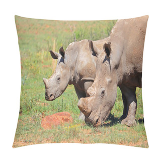 Personality  Portrait Of A White Rhinoceros (Ceratotherium Simum) With Calf, South Africa Pillow Covers