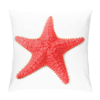 Personality  Caribbean Starfish (Oreaster Reticulatus) Pillow Covers