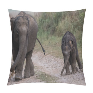 Personality  Herd Of Asiatic Elephants Including Baby Calf In Jim Corbett National Park, India Pillow Covers