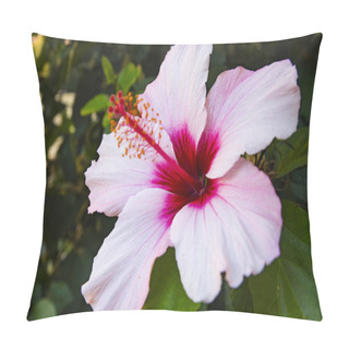 Personality  Hibiscus Flower In The Shade Of Foliage Pillow Covers