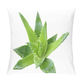 Personality  Aloe Vera Plant Pillow Covers