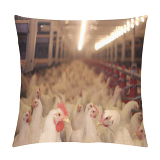 Personality  Chicken Farm, Poultry Pillow Covers