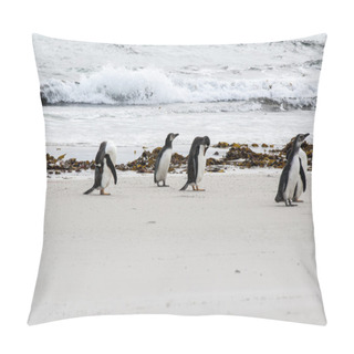 Personality  Magellanic Penguins On The Beach Pillow Covers