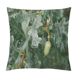 Personality  Green Acorn And Oak Leaves On Tree Pillow Covers