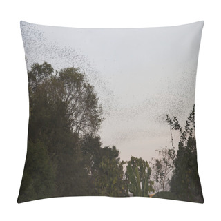 Personality Mass Flight Of Bats Pillow Covers
