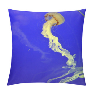 Personality  Stock Image Of A Group Of Jellyfish Pillow Covers