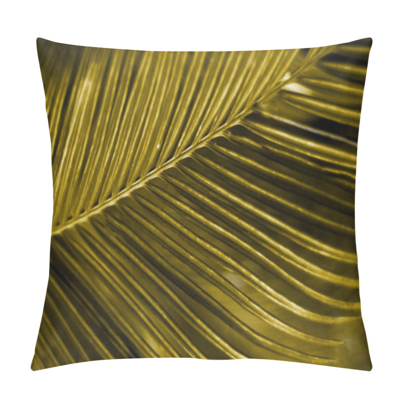 Personality  Tropical background of palm leaves. Layout template for website or text design. Close-up pillow covers